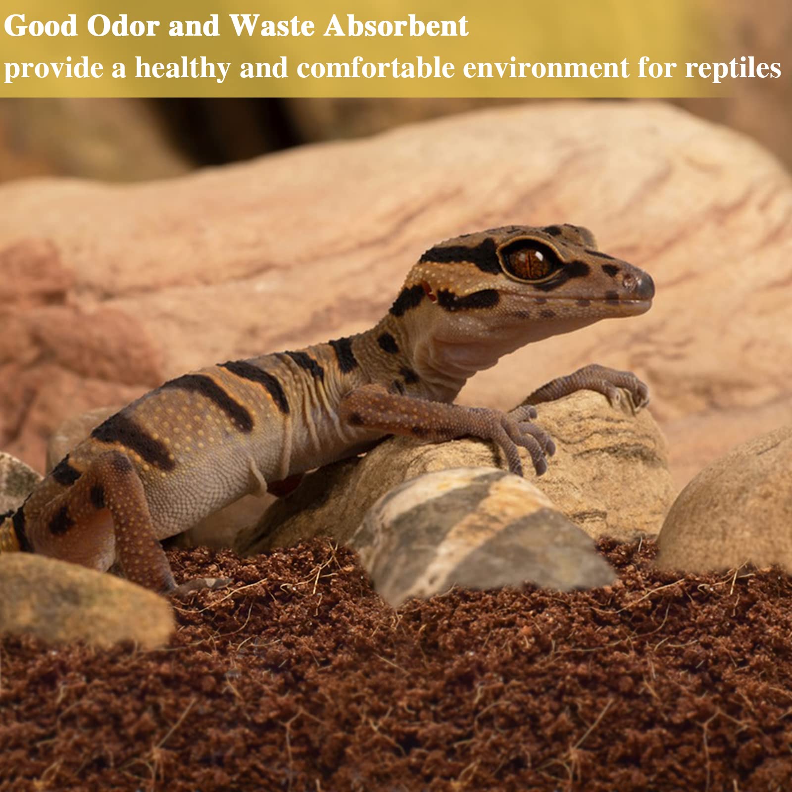 ZeeDix uso para terrario de reptiles y anfibios.