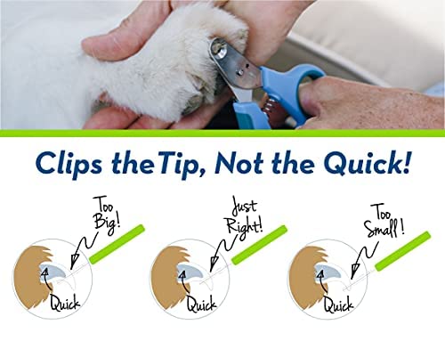 Zen Clipper tamaño 02 mm adecuado para gatos adultos