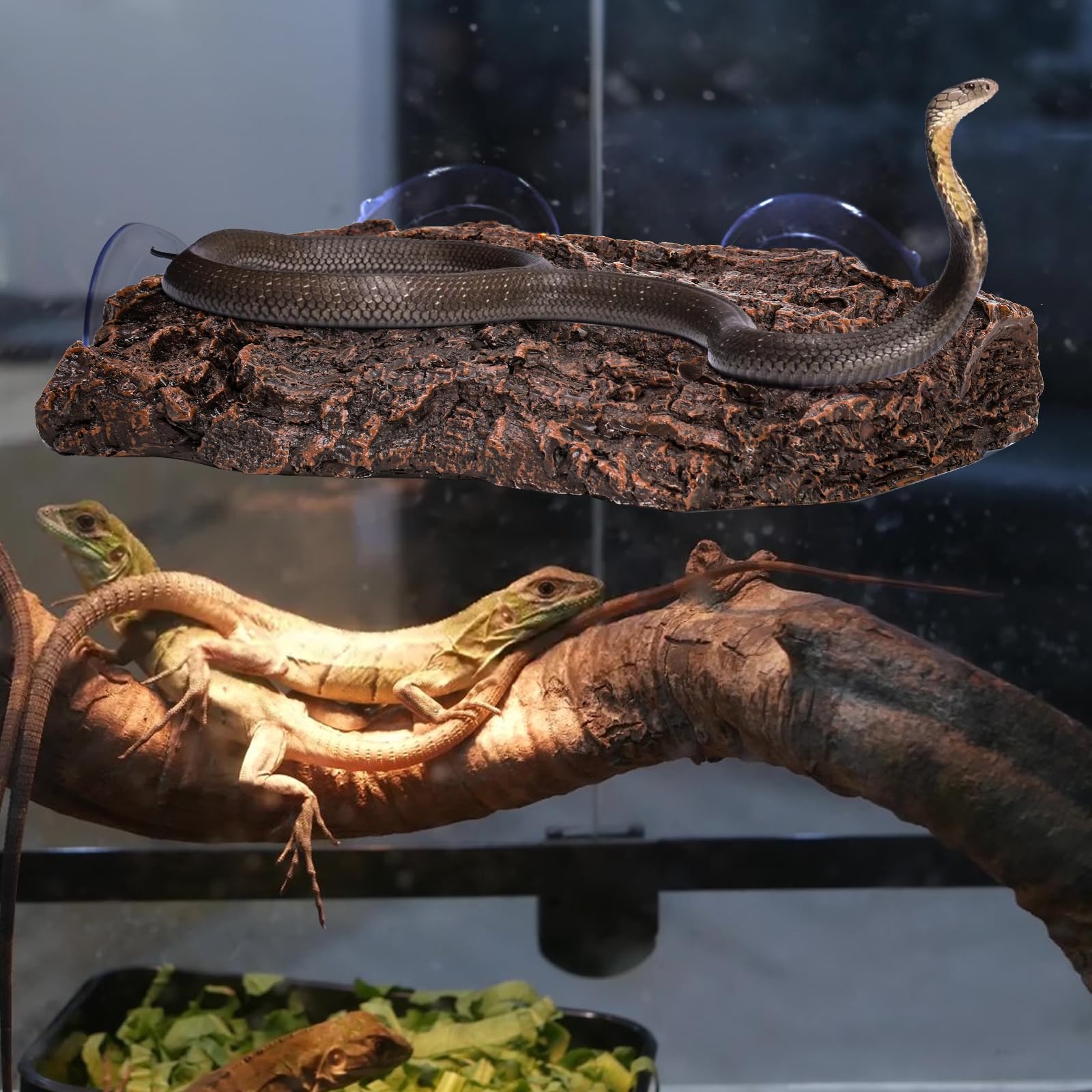 ZENFUN uso versátil para tortugas, lagartos y ranas ornamentales.