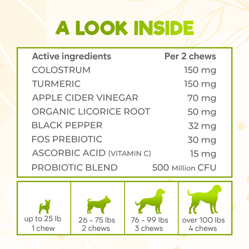 Acción rápida de ZENO Dog Allergy Chews en minutos.