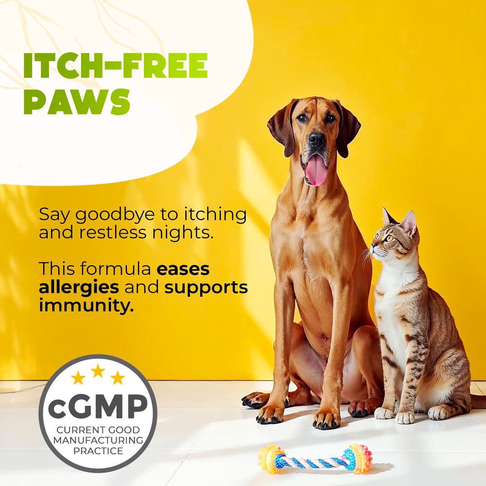Unidades del envase de ZENO Dog Allergy Chews para dosis cómoda.