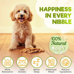 ZENO Hemp relajantes para perros en mano, fáciles de administrar.