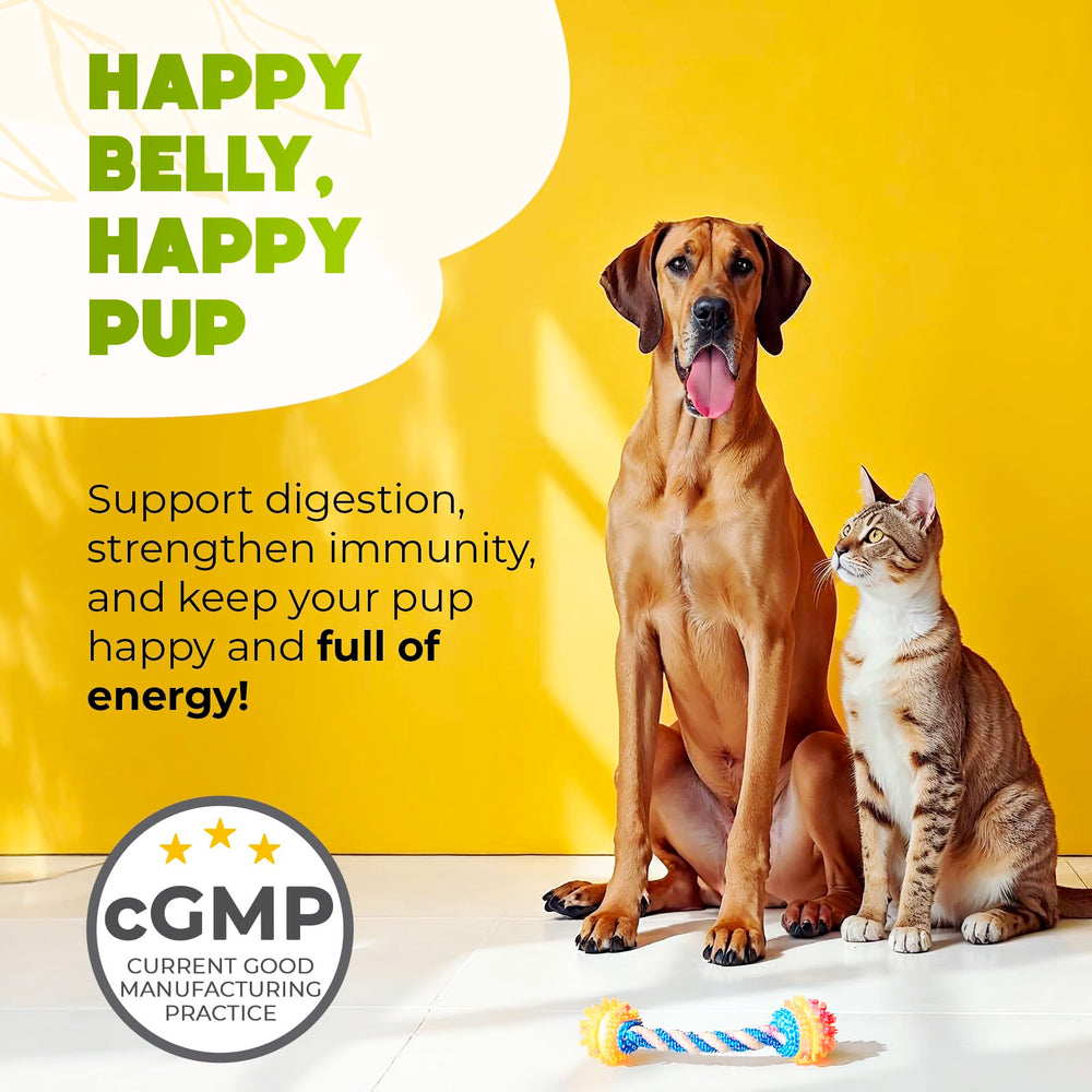 ZENO Probióticos para perros, perro masticando el snack, sabor agradable y fácil de administrar