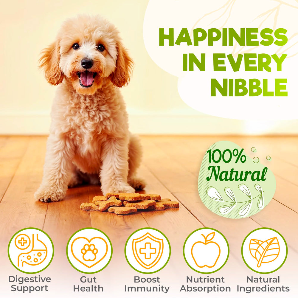 ZENO Probióticos para perros, snack sabor pollo, gustosamente aceptado para la salud intestinal