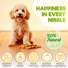 ZENO Probióticos para perros, snack sabor pollo, gustosamente aceptado para la salud intestinal