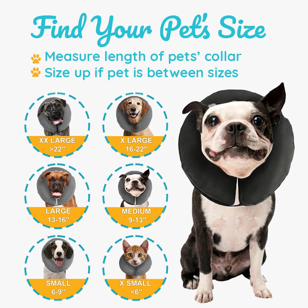 Collar inflable ZenPet brinda protección para evitar lamidos durante la recuperación.