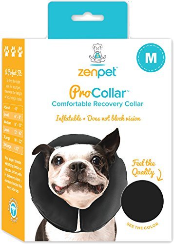 Collar inflable ZenPet ofrece visión clara y ajuste seguro para una recuperación sin estrés.