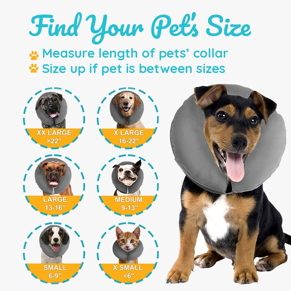 ZenPet collar inflable permite comer y beber con tranquilidad durante la recuperación.