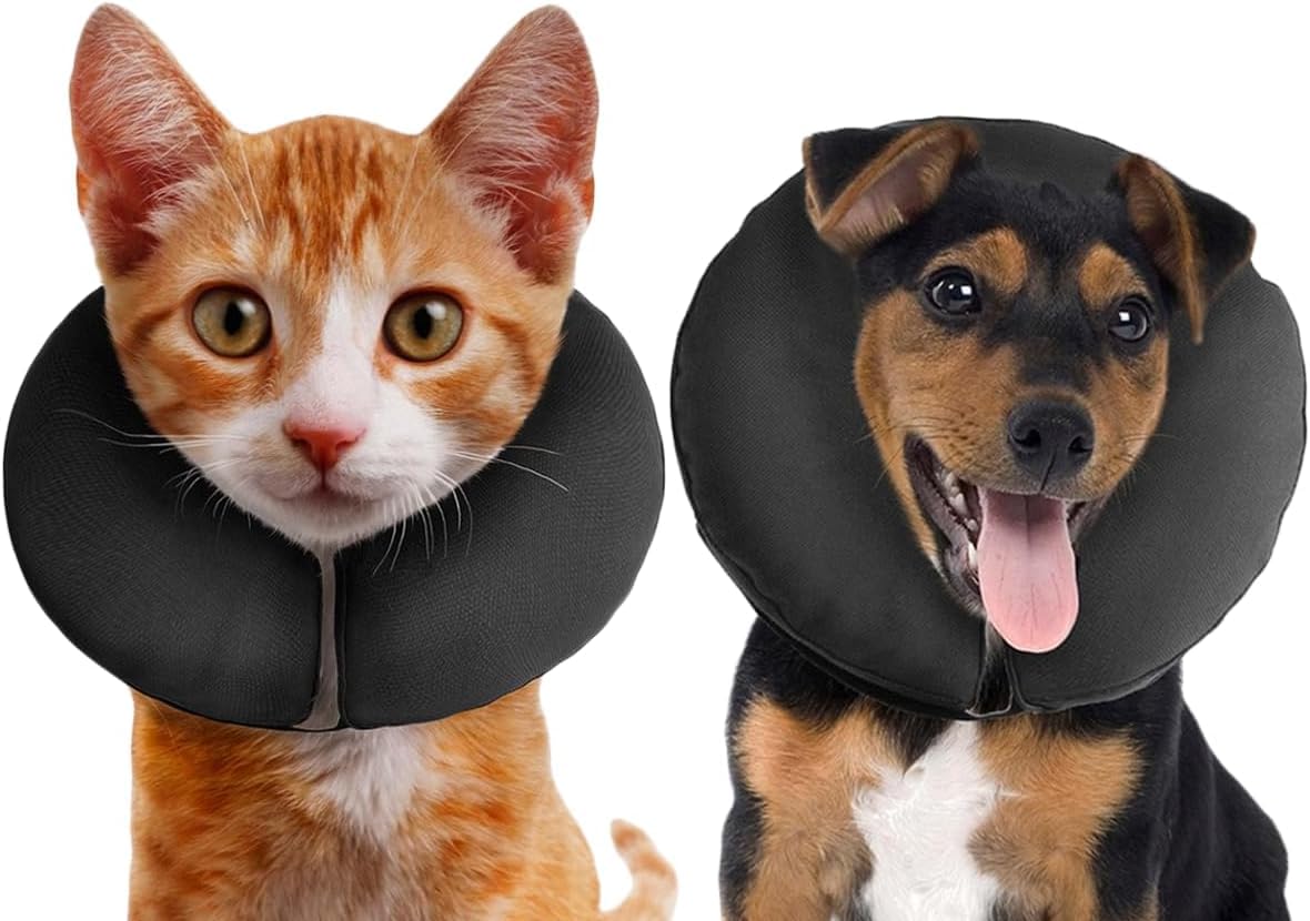 ZenPet collar de recuperacion inflable en vista frontal, visión clara para la mascota.