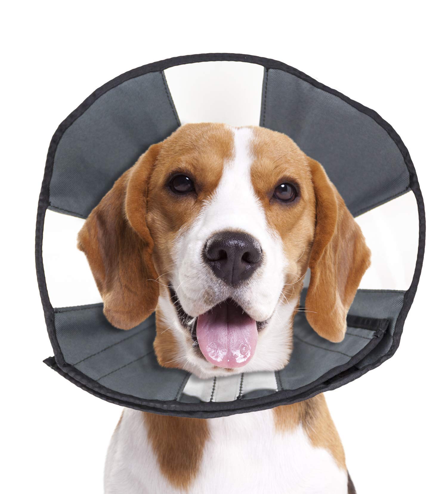 ZenPet cono recuperación perro-gato vista clara, mejora visibilidad y movilidad.