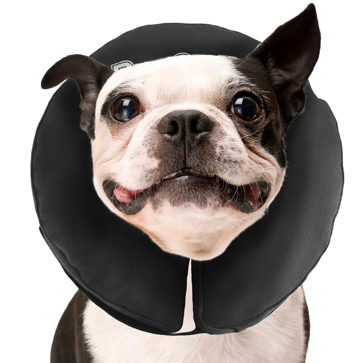 Collar inflable ZenPet para perros y gatos, visión clara y movimiento cómodo durante la recuperación.