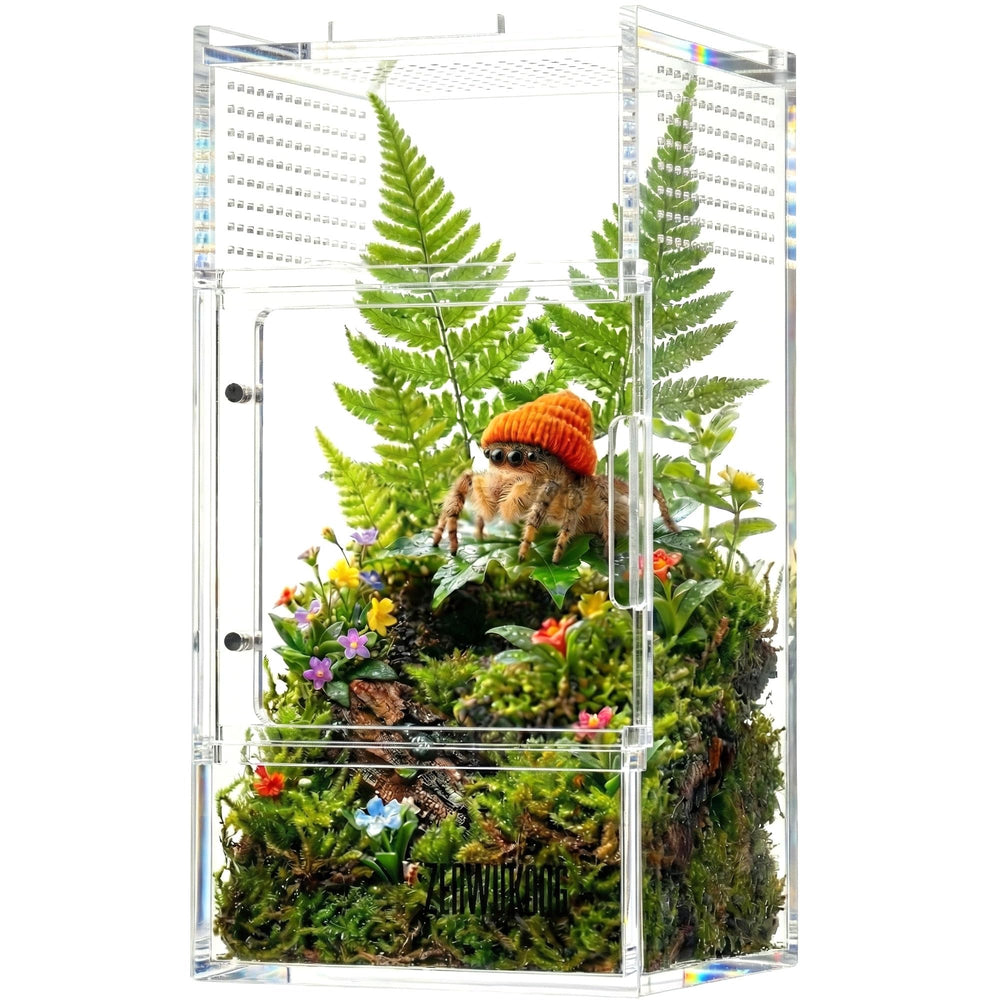 ZENWUKONG terrario acrílico: habitat mini para arañas, observación detallada durante la alimentación.