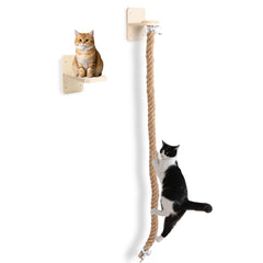 ZESTEFY pared escalada para gatos con dos plataformas para juego seguro.