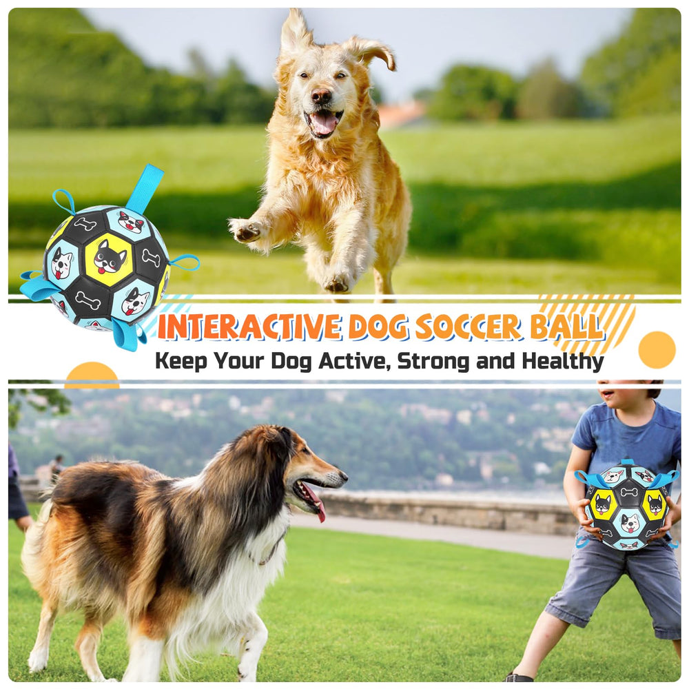 ZestPulse juego interactivo para perros con correas, facilita lanzar, recoger y entrenar.