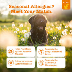 Zesty Paws Alergia perro, gominolas sabor cordero, paladar agradable y uso diario.
