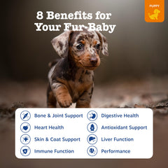 Zesty Paws articulaciones para perro, mejora movilidad y flexibilidad.