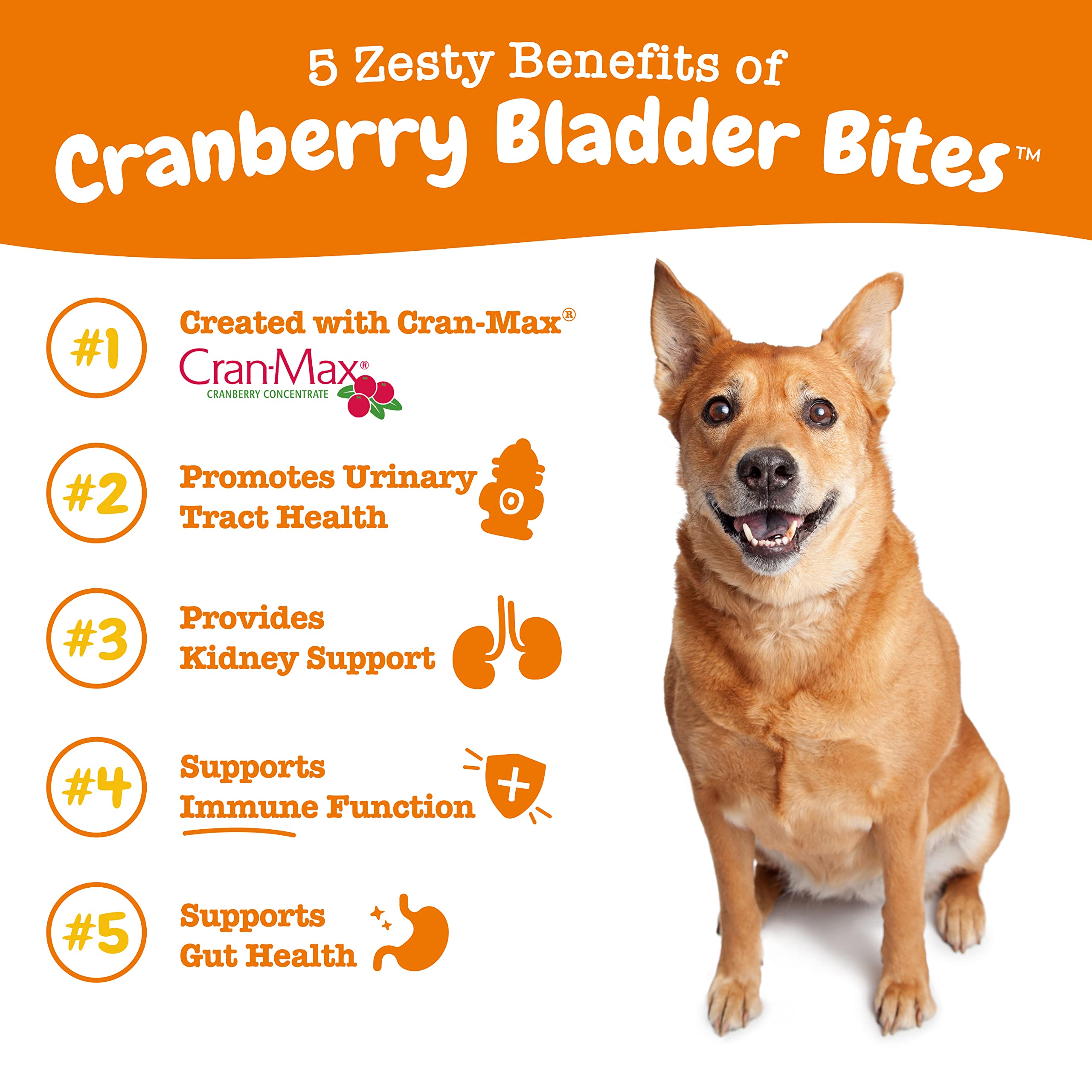 Bocaditos de cranberry para perros, sabor bacon y salud general.