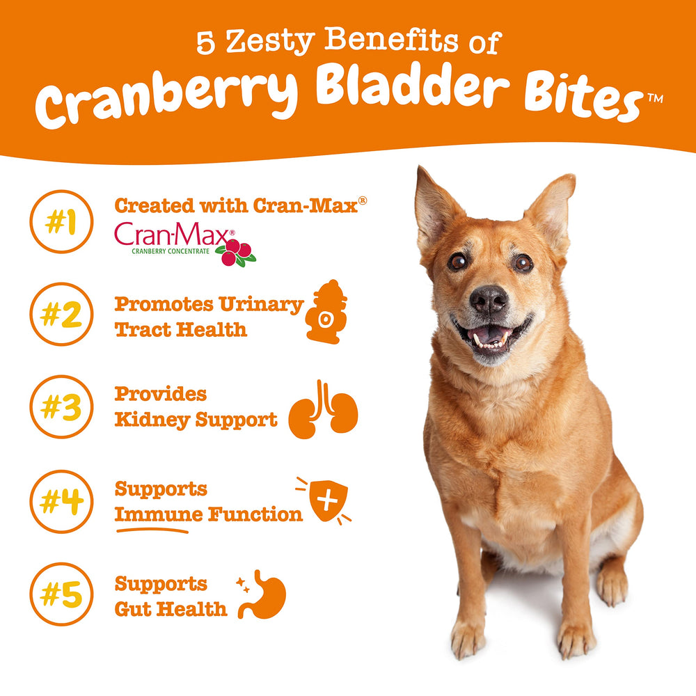 Bocaditos de cranberry para perros, sabor bacon y salud general.