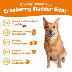 Bocaditos de cranberry para perros, sabor bacon y salud general.