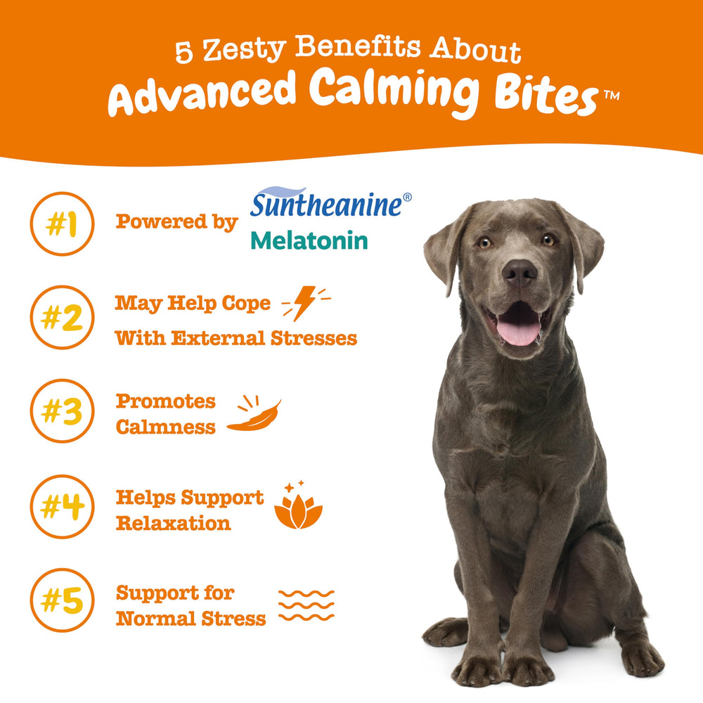 Zesty Paws Calming Chews, etiqueta clara, destacan ingredientes calmantes para perros.