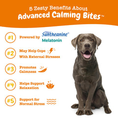 Zesty Paws Calming Chews, etiqueta clara, destacan ingredientes calmantes para perros.