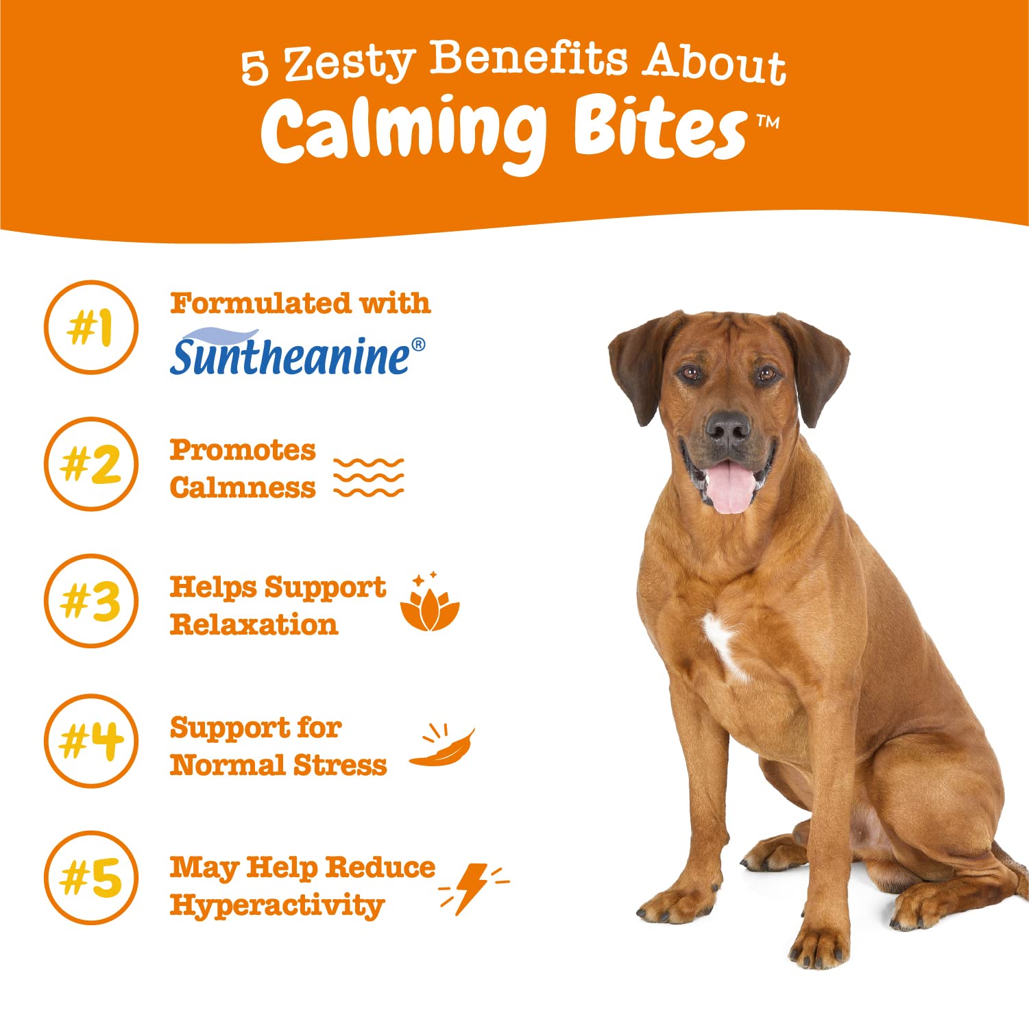 Calming Chews con Suntheanine para promover la calma natural en perros.