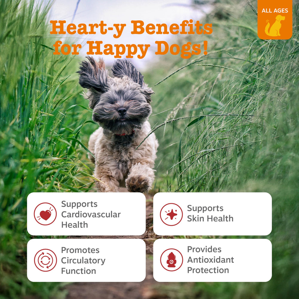 Zesty Paws Cardio Bites: masticables sabor salmón para perros, apoyo potencial al sistema circulatorio.