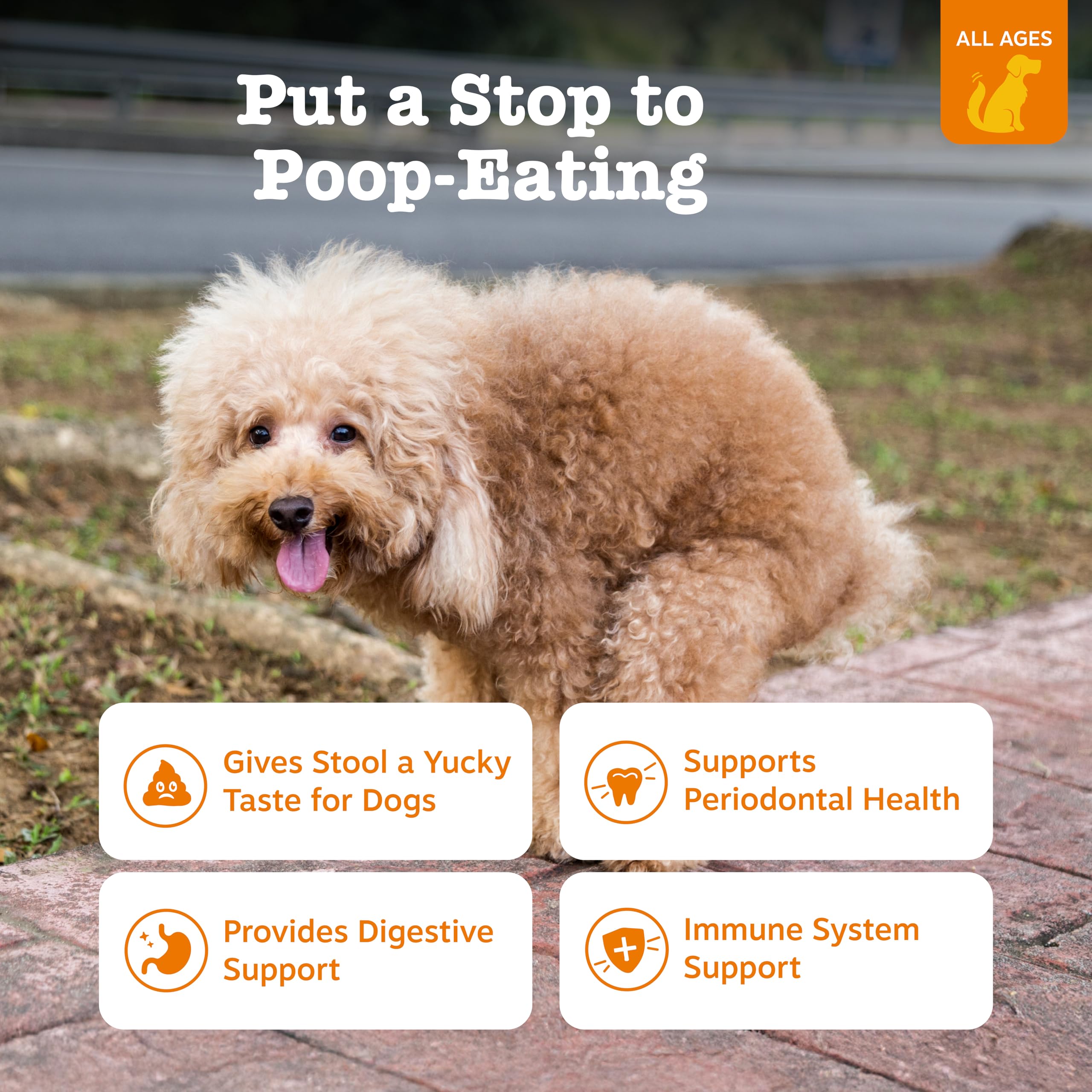 Etiqueta de Zesty Paws Chew No Poo Bites con guía de uso.