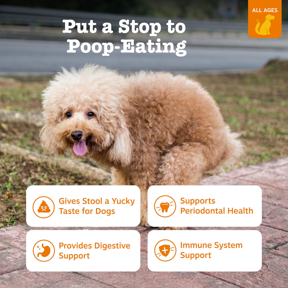 Etiqueta de Zesty Paws Chew No Poo Bites con guía de uso.