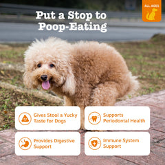 Etiqueta de Zesty Paws Chew No Poo Bites con guía de uso.