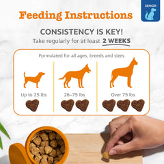 Zesty Paws Dog Allergy Relief colostro y astrágalo en dulces para inmunidad.