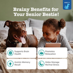 Zesty Paws DHA Gold: apoyo para la salud cerebral y la memoria