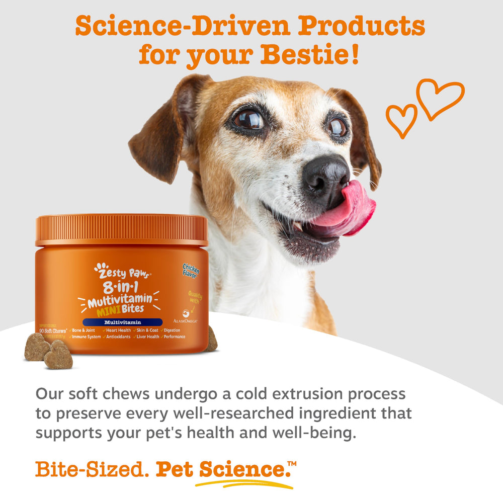 Zesty Paws ayuda digestiva con probióticos para flora intestinal