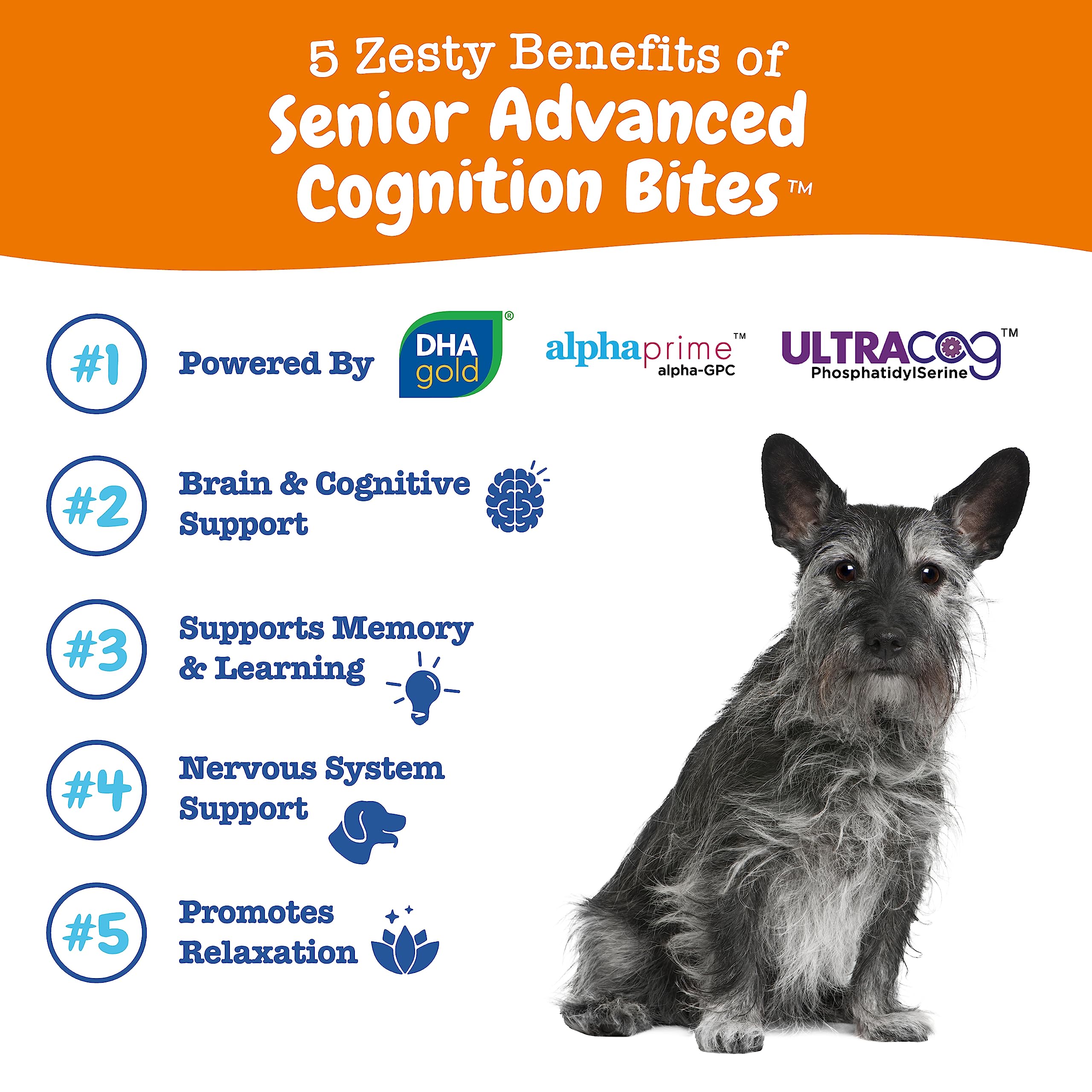 Envase de Zesty Paws Cognición Avanzada para perros senior, fácil de abrir.