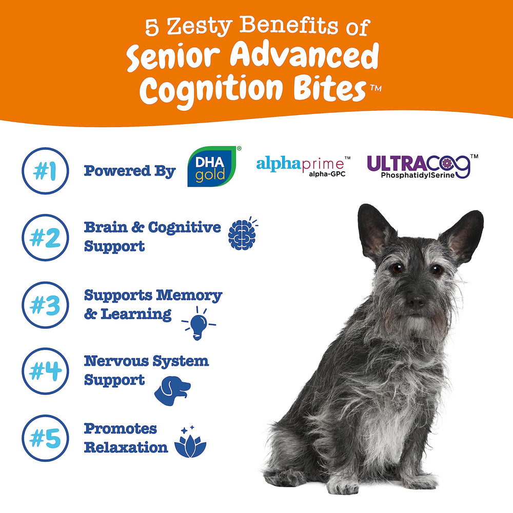 Envase de Zesty Paws Cognición Avanzada para perros senior, fácil de abrir.