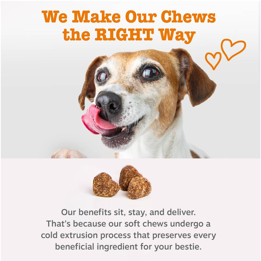 Zesty Paws Etiqueta Salud Higado: etiqueta que describe ingredientes clave y uso.