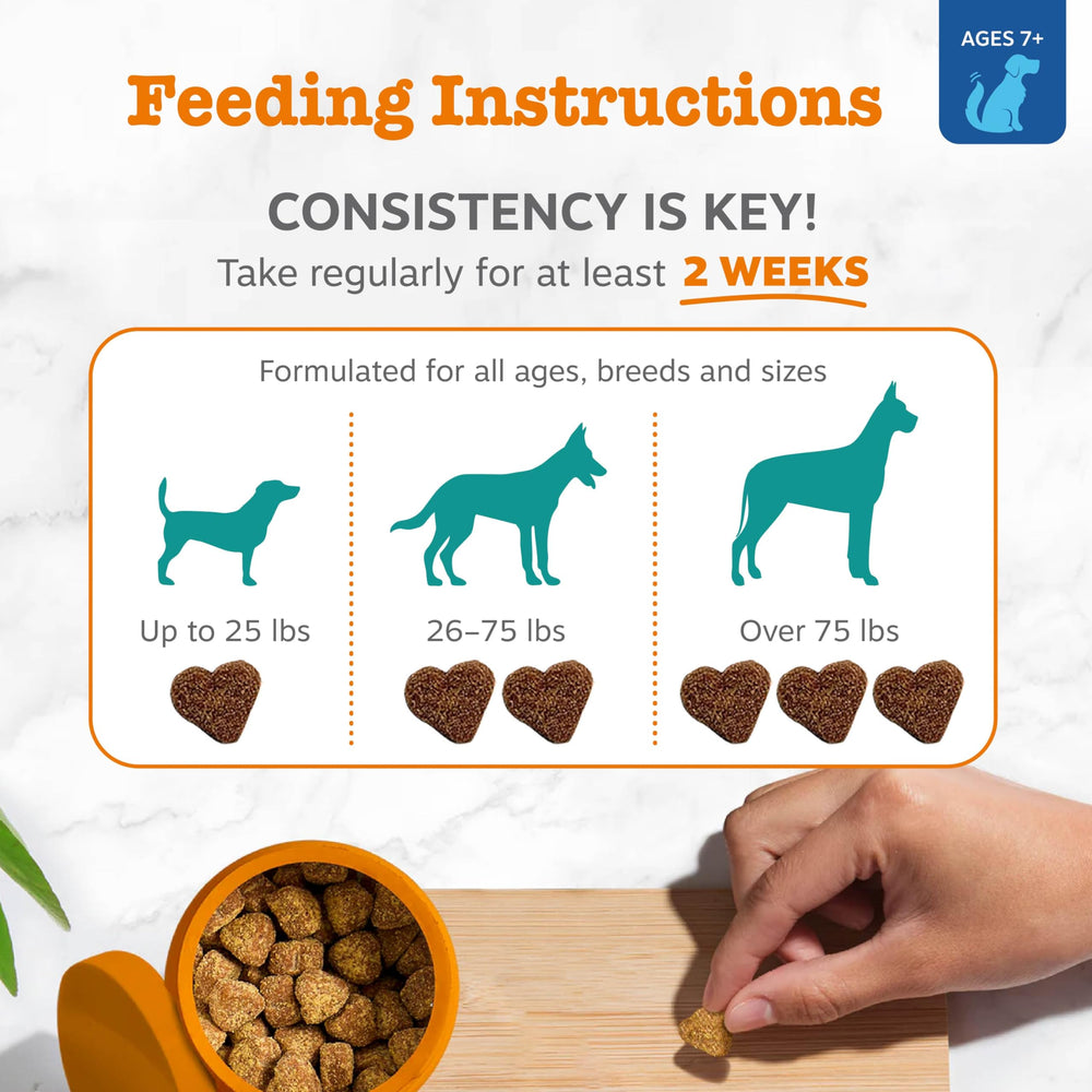Zesty Paws Manzanilla: calma del perro durante momentos nerviosos