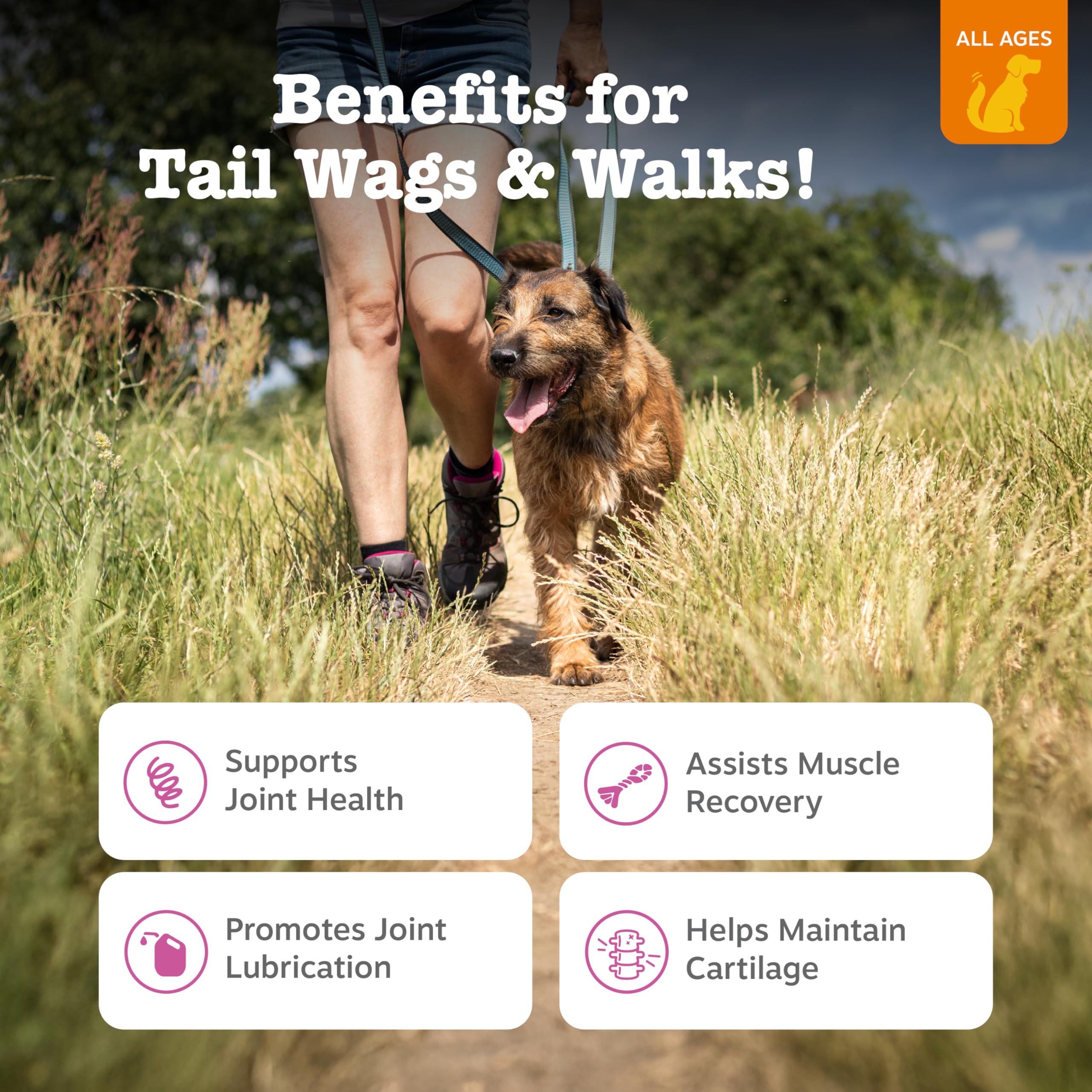 Zesty Paws OptimMSM para soporte muscular en perros activos.