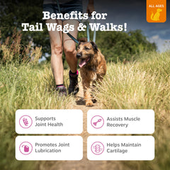 Zesty Paws OptimMSM para soporte muscular en perros activos.