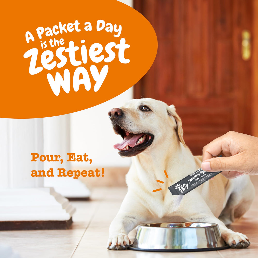 Perro activo tras usar Zesty Paws NAD+, mejora de movilidad.