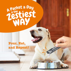 Perro activo tras usar Zesty Paws NAD+, mejora de movilidad.