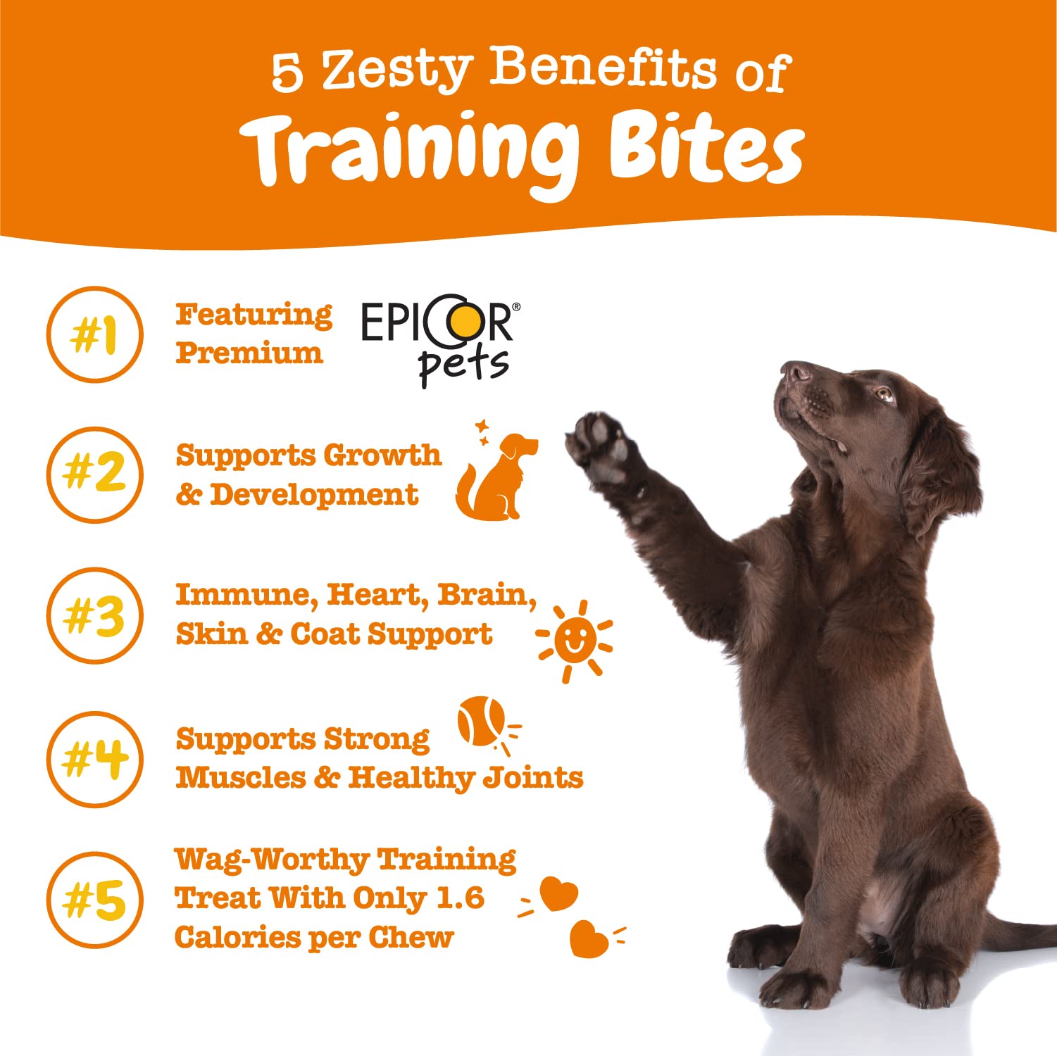 Premios suaves Zesty Paws para entrenamiento, ideal para motivar perros y cachorros.