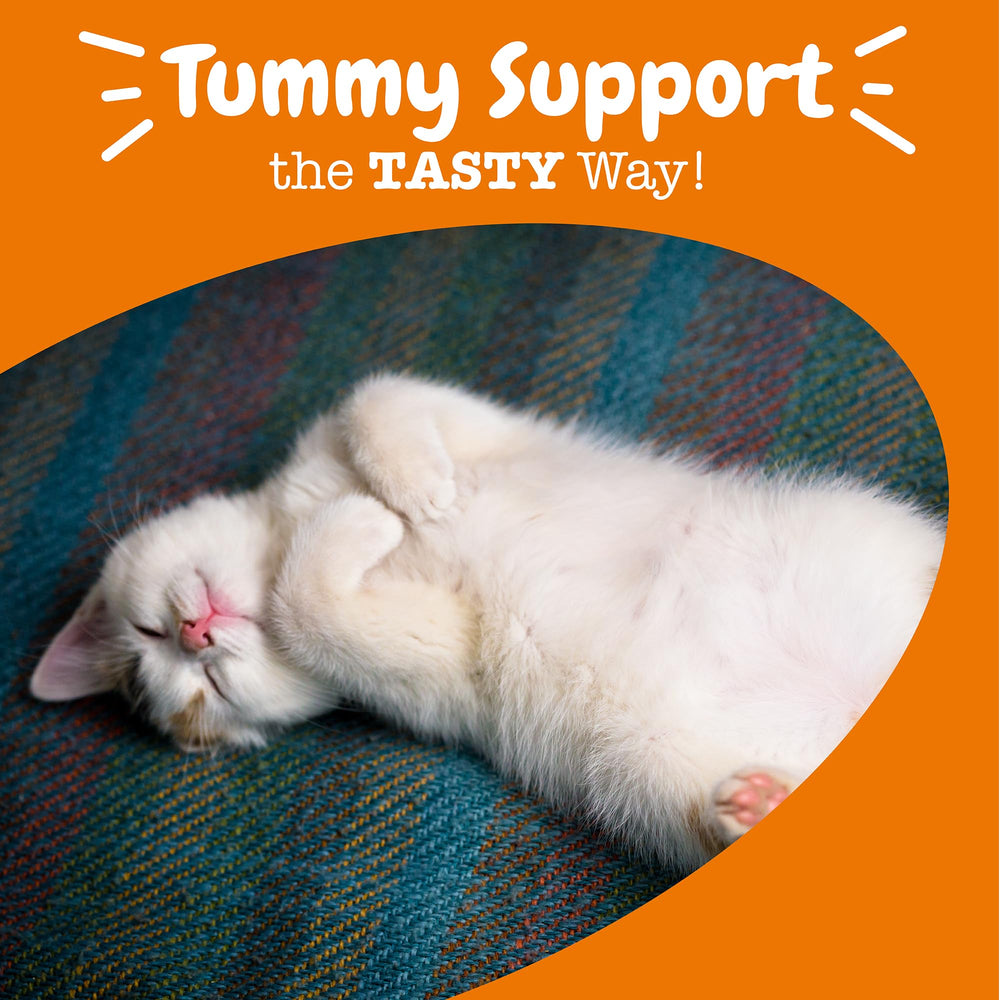 Zesty Paws Probiotic Bites, 600 millones CFU por pieza para salud digestiva