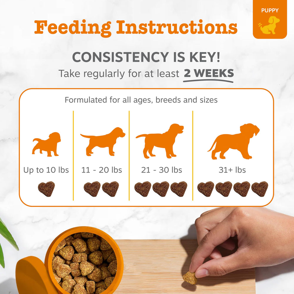 Zesty Paws Probióticos para cachorros: apoyo a la inmunidad en crecimiento.