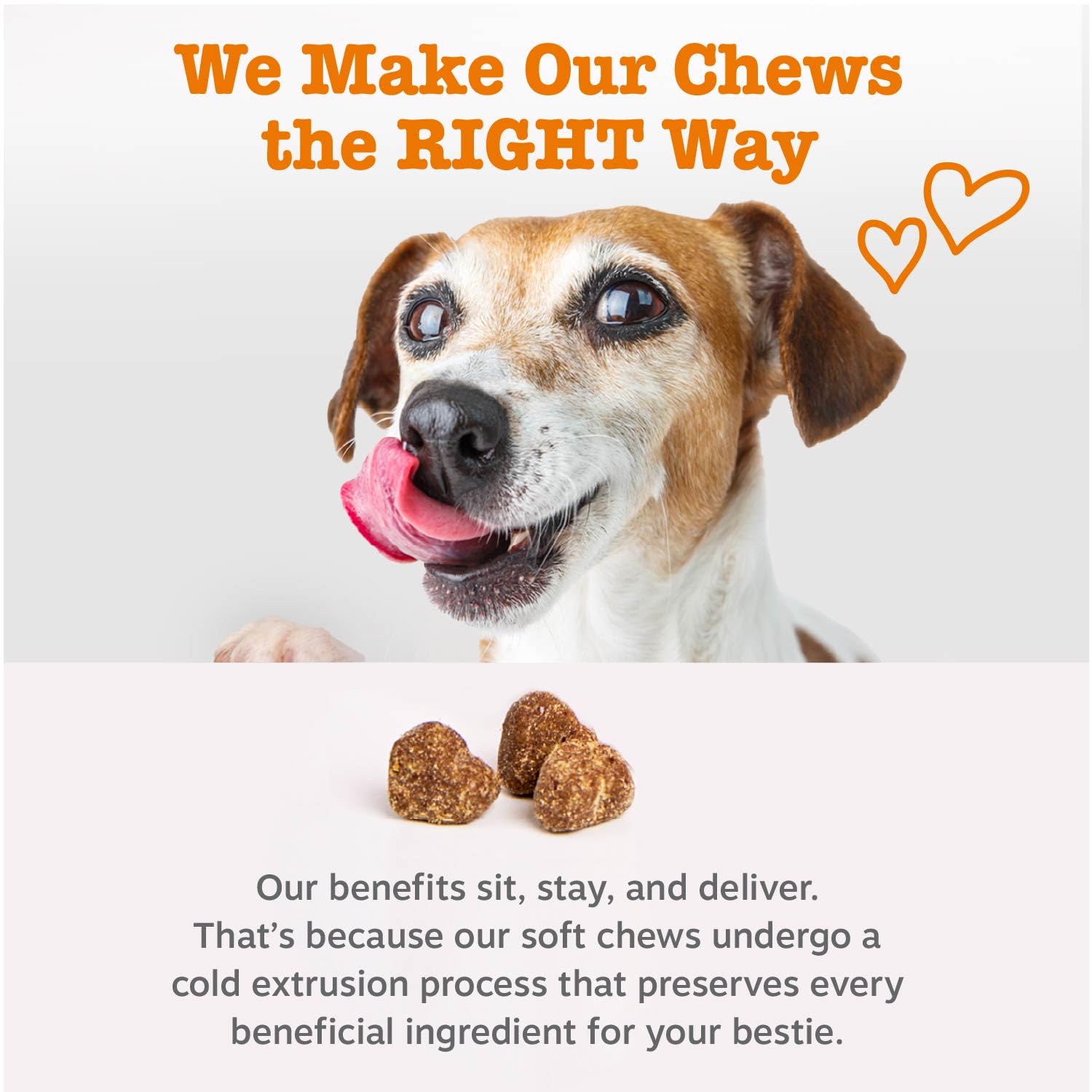Zesty Paws Probióticos para cachorros: soporte digestivo diario.
