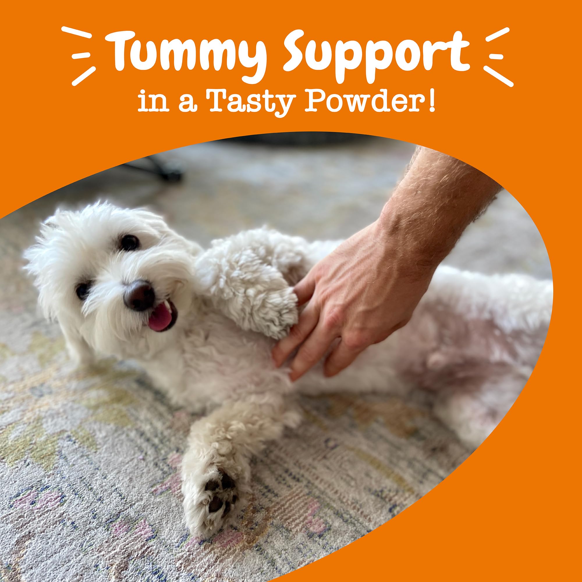 Zesty Paws probióticos para perros: etiqueta clara con ingredientes detallados