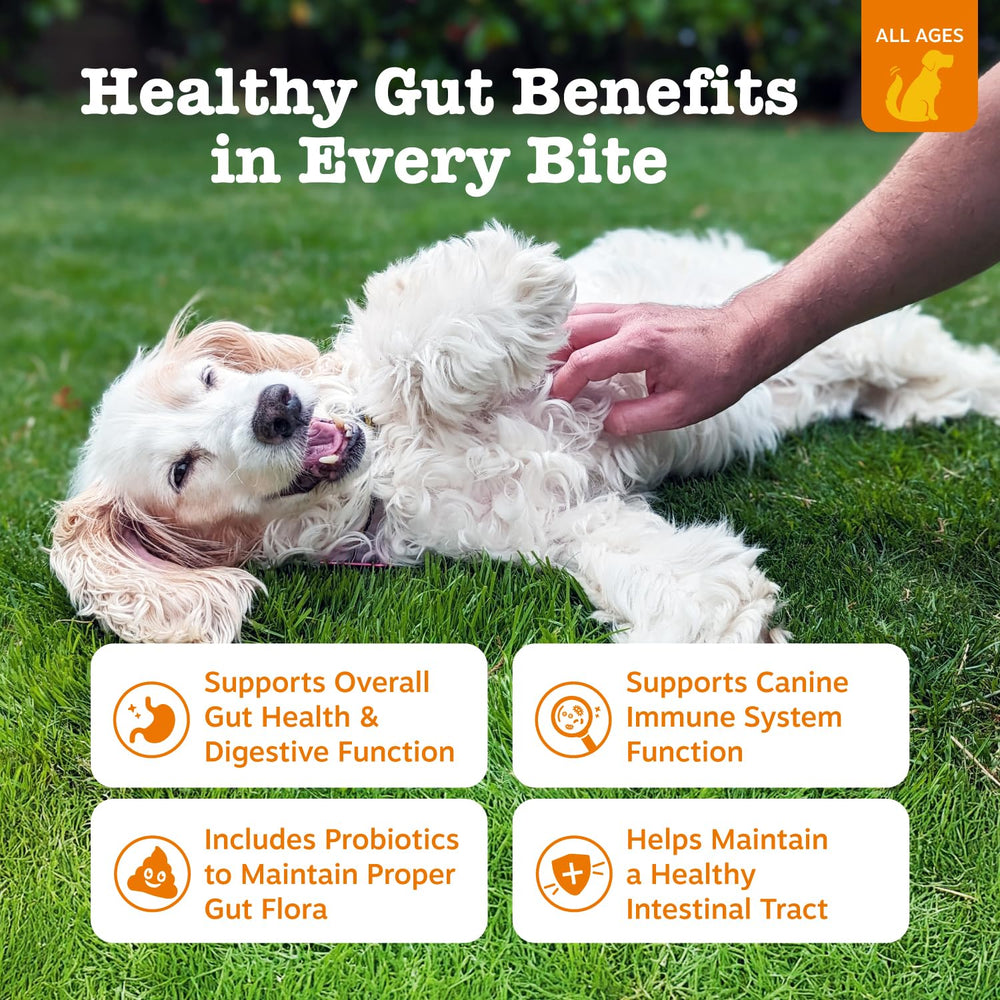 Zesty Paws probióticos para perros gomitas, sabor agradable para la rutina diaria.