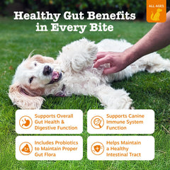 Zesty Paws probióticos para perros gomitas, sabor agradable para la rutina diaria.