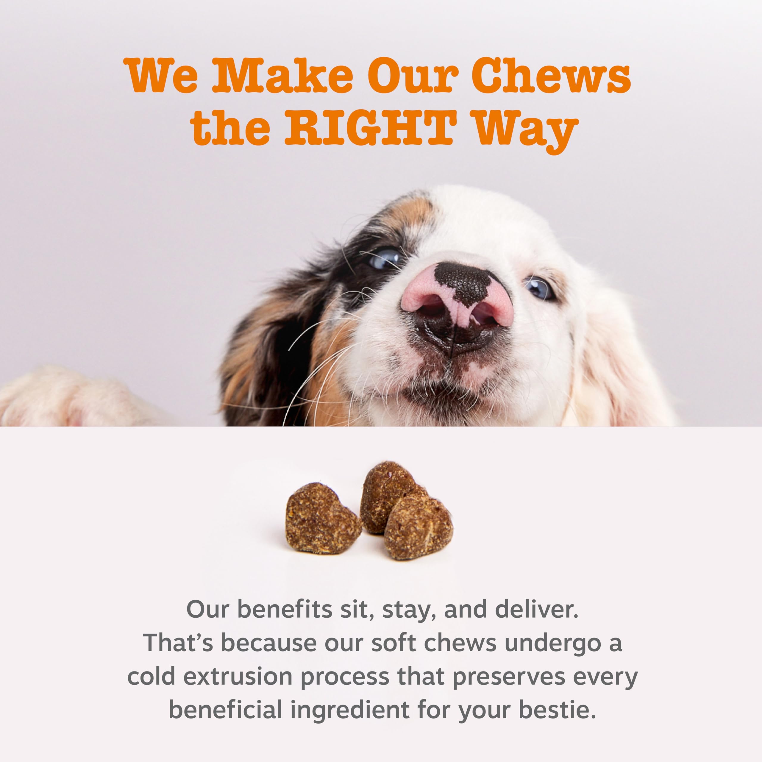 Zesty Paws Probiotics para perros con base de calabaza y papaya.