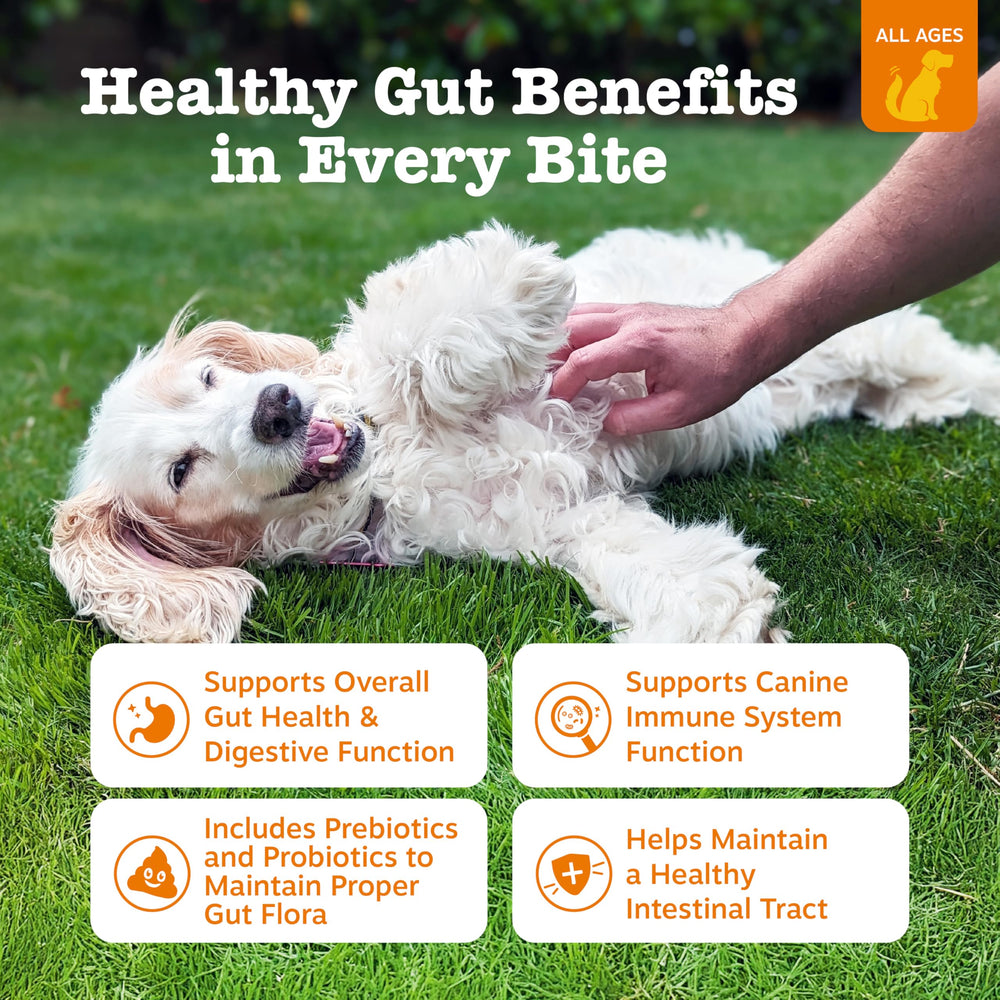 Zesty Paws Probiotics para perros que sostienen una flora intestinal equilibrada.